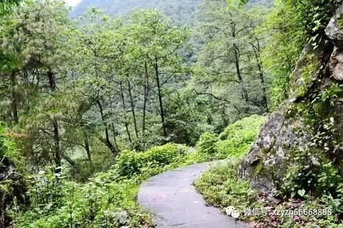 远征军：维京