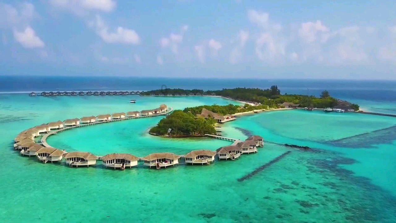 寻找萌宠松鼠