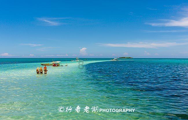 沙漠避难所