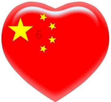 狗狗物品记忆卡