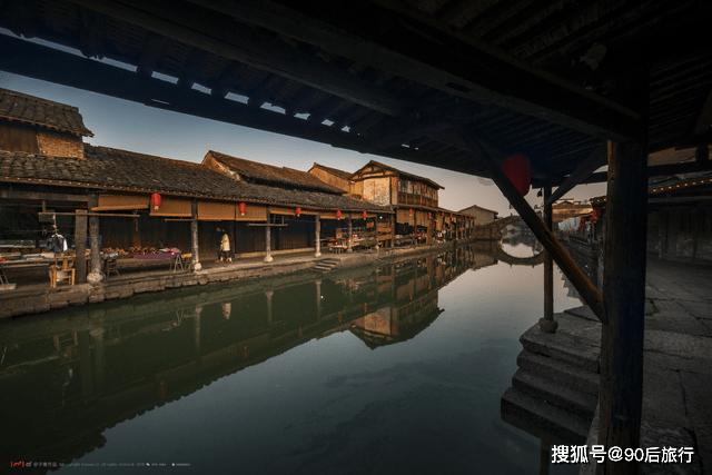 几只长寿三代的“高寿”狗狗，有一只童颜博美，今年17岁了！